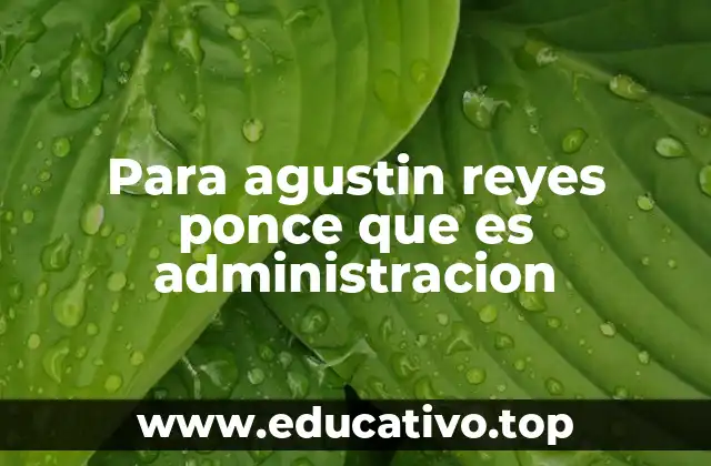 Para agustin reyes ponce que es administracion