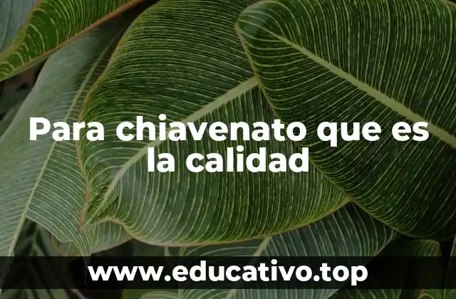 Para chiavenato que es la calidad