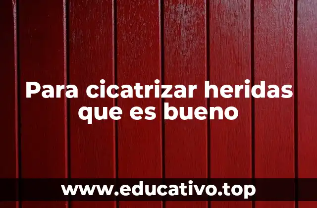 Para cicatrizar heridas que es bueno