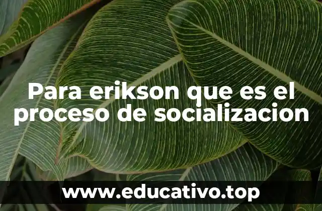 Para erikson que es el proceso de socializacion