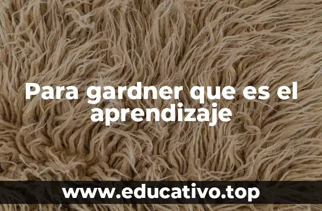 Para gardner que es el aprendizaje