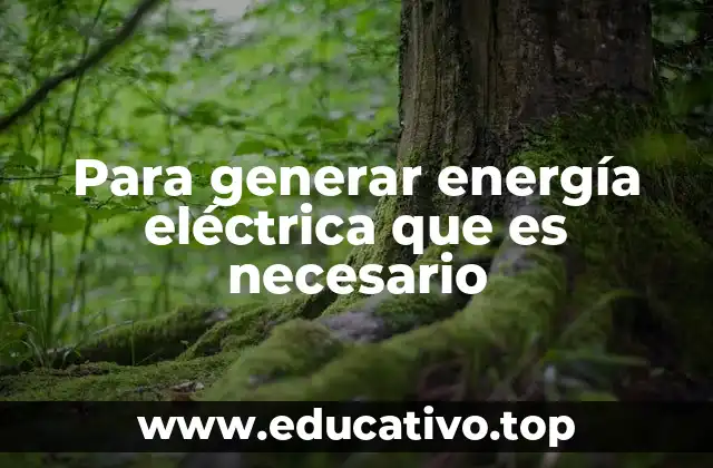 Los componentes esenciales en la producción de electricidad