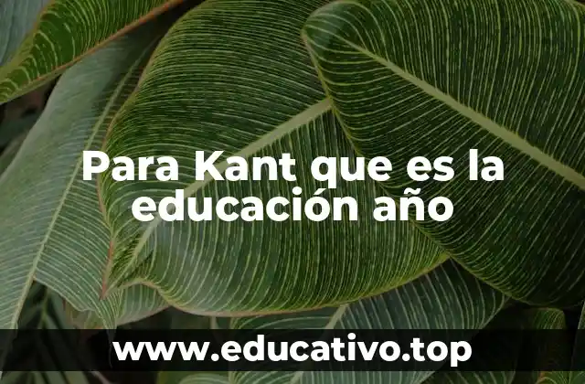 La formación del individuo como base de la sociedad