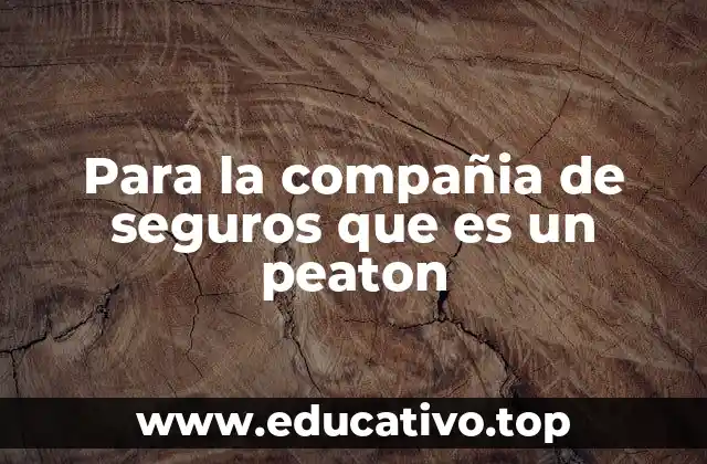 Para la compañia de seguros que es un peaton