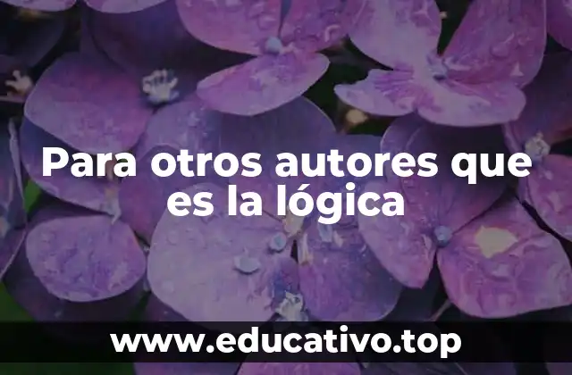 Para otros autores que es la lógica