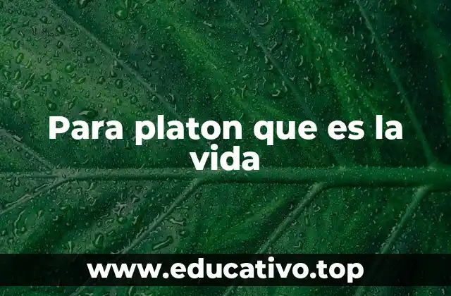 Para platon que es la vida