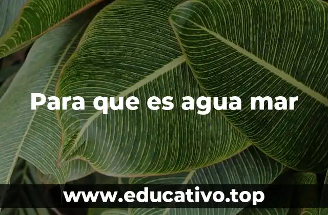 Para que es agua mar