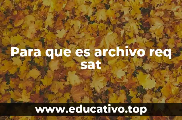 Para que es archivo req sat