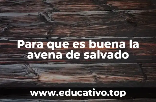 Para que es buena la avena de salvado