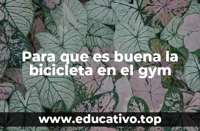 Beneficios de incorporar la bicicleta en tus rutinas de entrenamiento