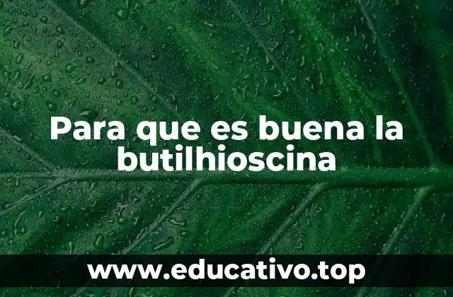 Para que es buena la butilhioscina