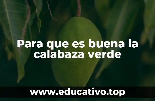 Para que es buena la calabaza verde