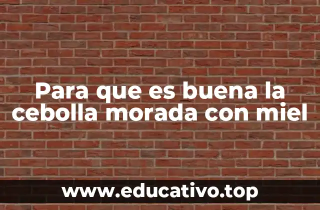 Beneficios de la cebolla morada y la miel para la salud