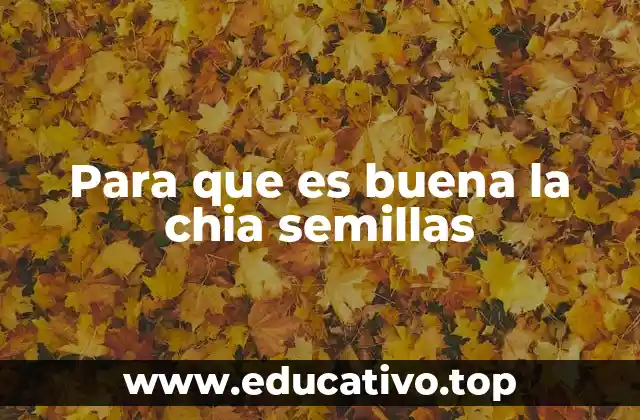 Para que es buena la chia semillas