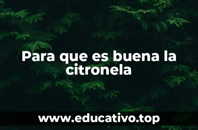 Para que es buena la citronela