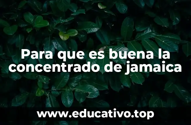 Para que es buena la concentrado de jamaica