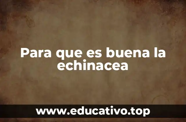 Para que es buena la echinacea