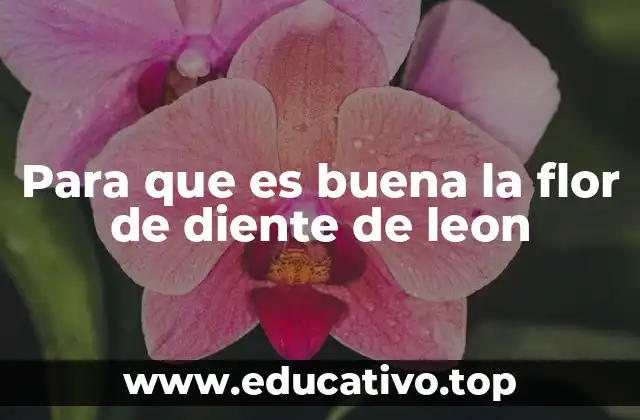 Para que es buena la flor de diente de leon