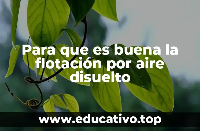 Para que es buena la flotación por aire disuelto