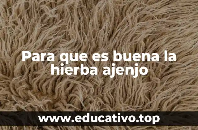 Para que es buena la hierba ajenjo