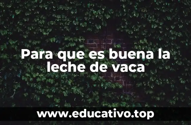 Para que es buena la leche de vaca