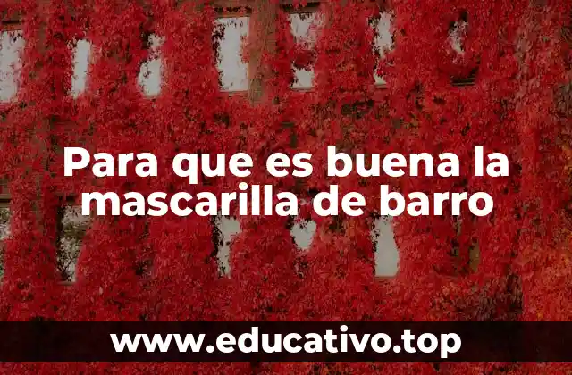 Para que es buena la mascarilla de barro