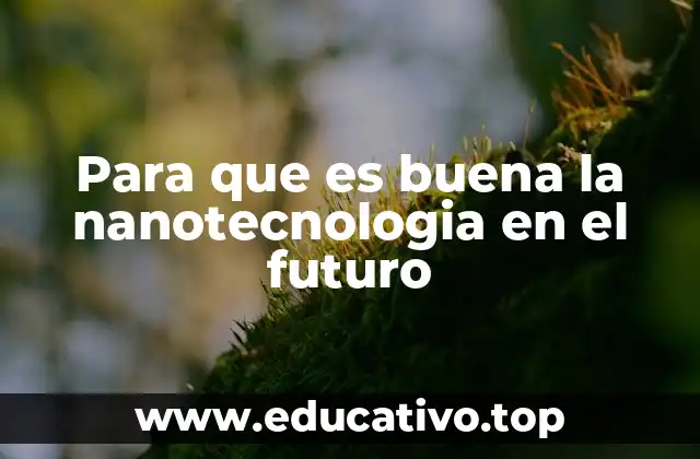 Para que es buena la nanotecnologia en el futuro