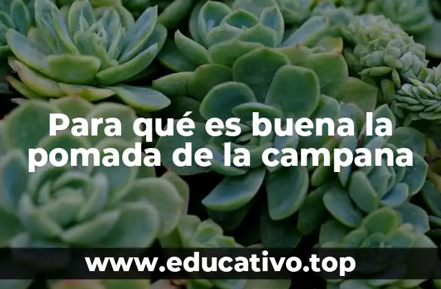 Para qué es buena la pomada de la campana