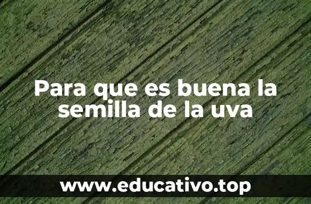 Para que es buena la semilla de la uva