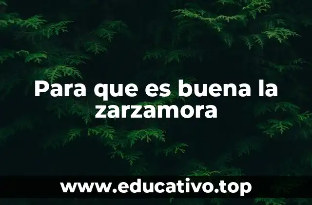 Para que es buena la zarzamora