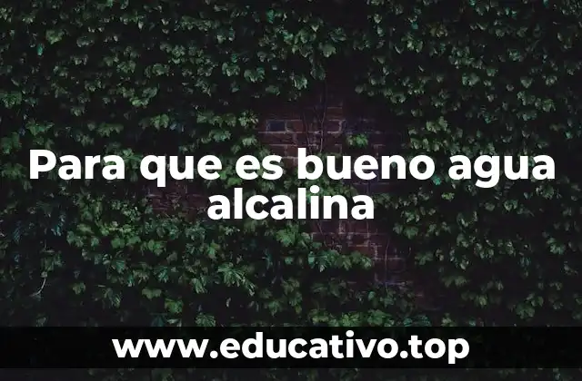 Para que es bueno agua alcalina