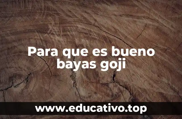 Para que es bueno bayas goji