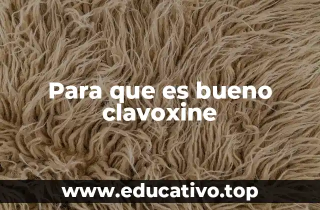 Para que es bueno clavoxine