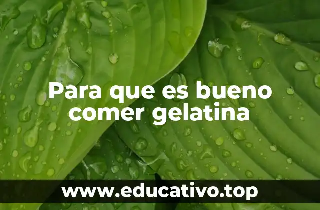 Para que es bueno comer gelatina