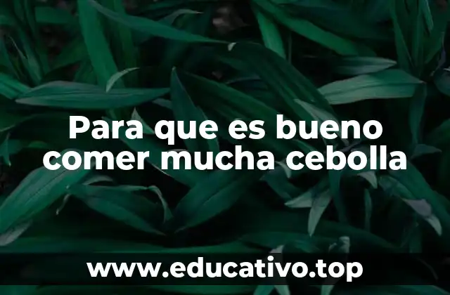 Para que es bueno comer mucha cebolla