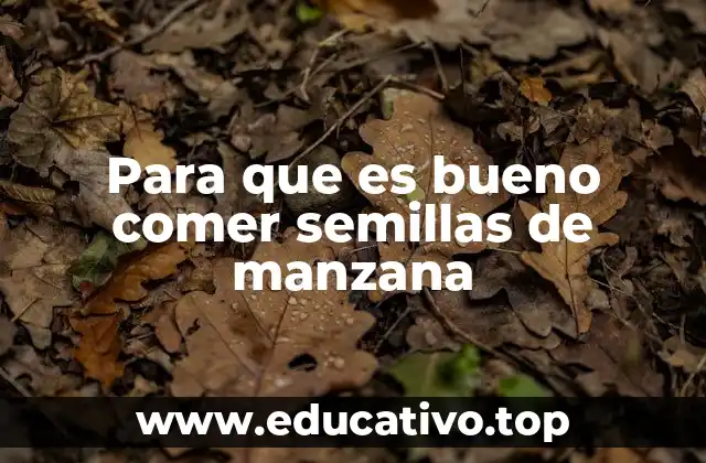 Para que es bueno comer semillas de manzana