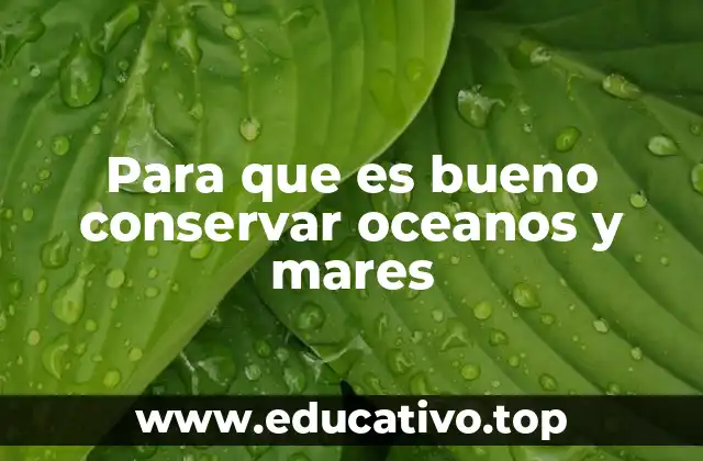 Para que es bueno conservar oceanos y mares
