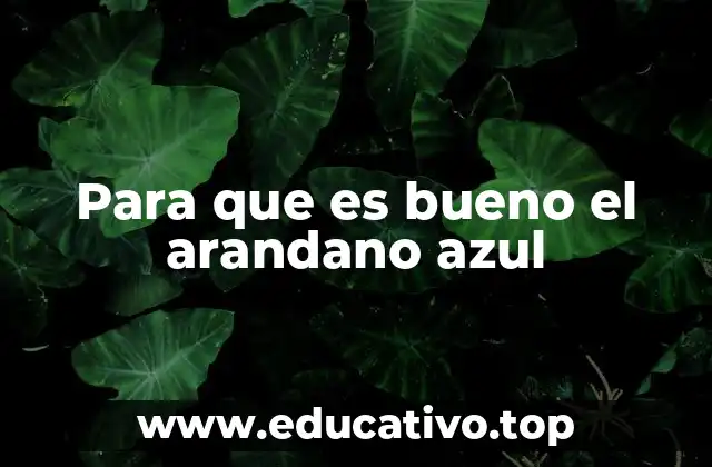 Para que es bueno el arandano azul