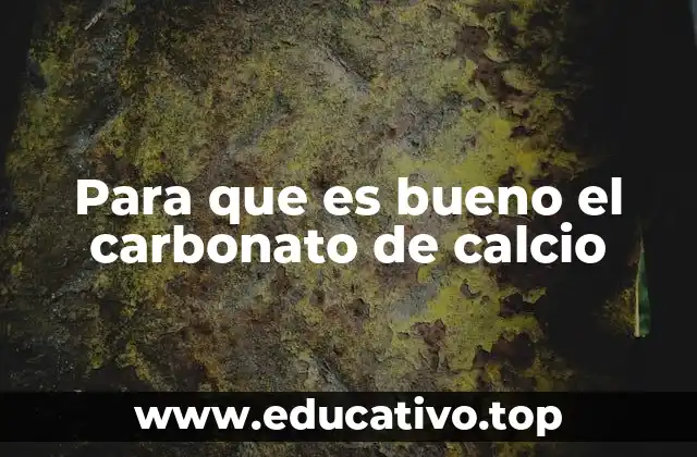 El papel del calcio en la salud humana