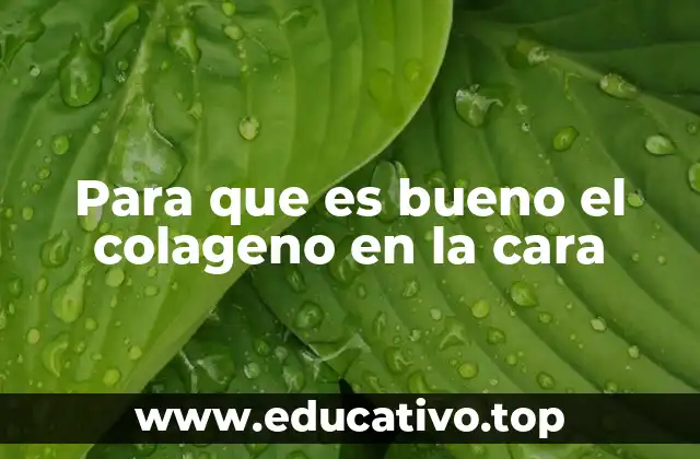 Para que es bueno el colageno en la cara