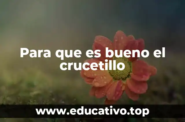 Aplicaciones modernas del crucetillo en jardinería y agricultura