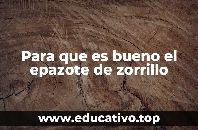 Para que es bueno el epazote de zorrillo