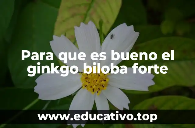 Para que es bueno el ginkgo biloba forte