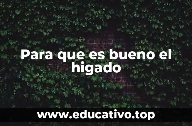 Para que es bueno el higado