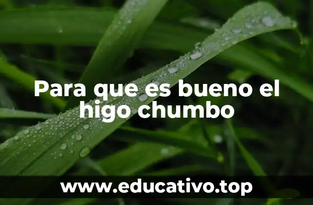 La importancia de incluir frutas exóticas en la dieta