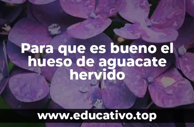 Para que es bueno el hueso de aguacate hervido