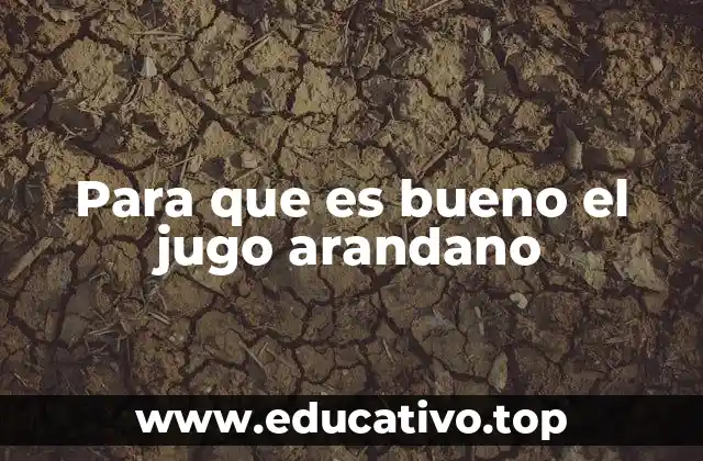 Para que es bueno el jugo arandano