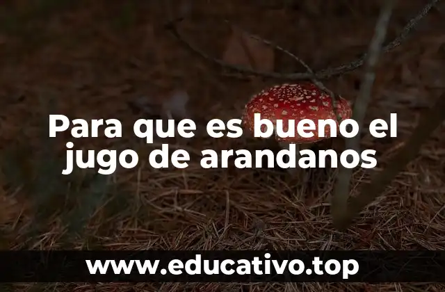 Para que es bueno el jugo de arandanos