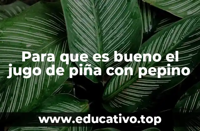 Para que es bueno el jugo de piña con pepino