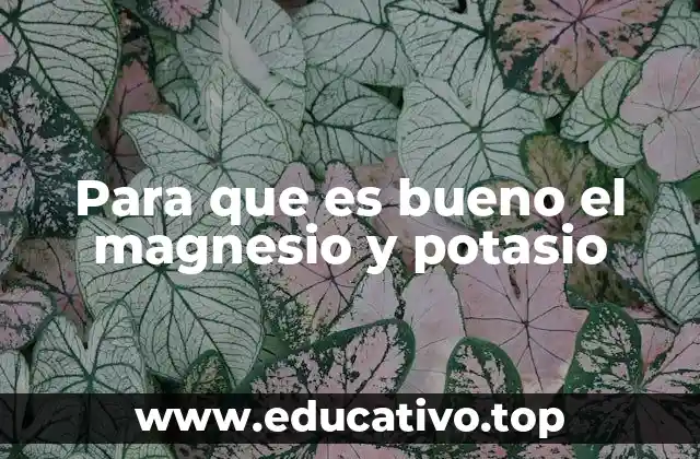 Para que es bueno el magnesio y potasio